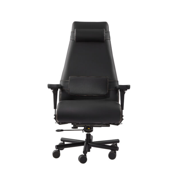 Deluxe Felix High Back 500lbs Front